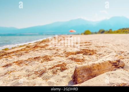 Strand in Griechenland mit Sonnenschirm und selektivem Fokus auf trockenem Baumstamm im Vordergrund, Mount Olymp im Hintergrund Stockfoto