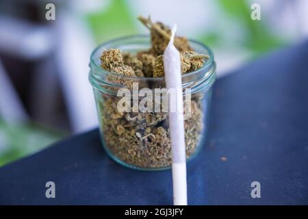 Nahaufnahme von trockenen Marihuana-Cannabis-Knospen in einem Glas mit einem gerollten stumpf darauf gelehnt. Stockfoto