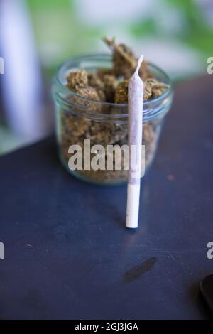 Vertikale Nahaufnahme von trockenen Marihuana-Cannabis-Knospen in einem Glas mit einem gerollten stumpf darauf gelehnt. Stockfoto