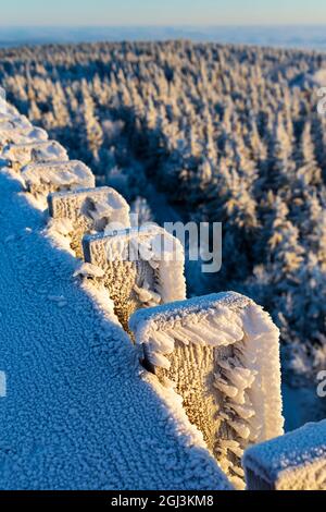 Aussichtsturm, Velka Destna, Orlicke Berge, Ostböhmen, Tschechische Republik Stockfoto