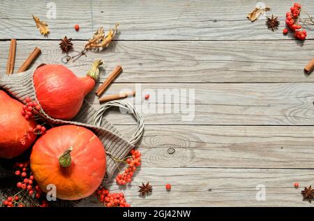 Danksagung. Orangefarbene Hokkaido-Kürbisse, Eberesche, Äpfel, Zimt und Rahmen aus Herbstdekorationen. Flach liegend, Draufsicht mit Kopie Stockfoto