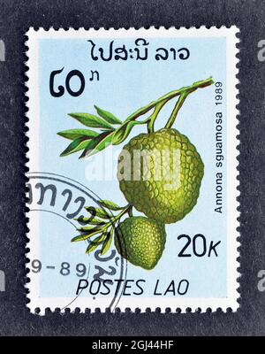 Abgesagte Briefmarke gedruckt von Laos, die Früchte von Annona sguamosa zeigt, um 1989. Stockfoto