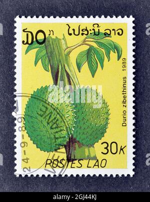 Abgesagte Briefmarke gedruckt von Laos, die Durio zibethinus Frucht zeigt, um 1989. Stockfoto