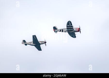 Ultimate Warbird Flights, P-47D Thunderbolt „Nellie“ & TF-51D Mustang „Konträre Mary“ (Schwarzweiß-Schecks), Bournemouth Air Show 2021, Großbritannien Stockfoto