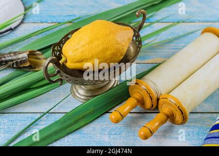 Jüdischer Feiertag der Symbole des Festivals Sukkot mit den Palmenblättern Stockfoto