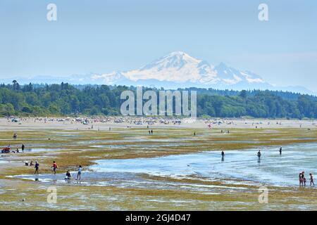 White Rock, British Columbia, Kanada – 15. Juli 2018. White Rock Beach BC. Ebbe am White Rock Beach mit Mt Baker im Bundesstaat Washington steigt im Th Stockfoto