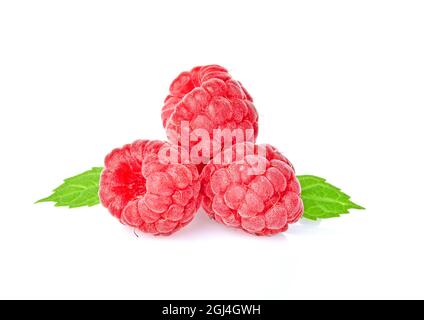 Reife Himbeeren auf weißem Hintergrund Stockfoto