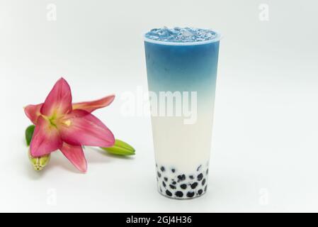 Das boba-Getränk mit Taro-Milchtee-Geschmack ist kalt und köstlich als Getränk oder Mahlzeit. Stockfoto