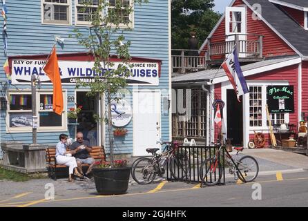 Whale Watching, St. Andrews, New Brunswick Stockfoto