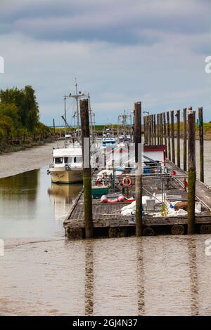 Ebbe am Scotch Pond in Steveston, British Columbia, Kanada Stockfoto