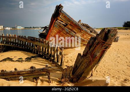 Frankreich. Bretagne. Morbihan (56) Plouhinec. Magouer Hafenboot Friedhof. Ria d'Etel Thoniers Stockfoto