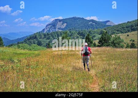 Ältere Männer wandern durch das wunderschöne Tal Stockfoto