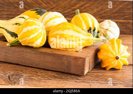 Eine Holzkiste mit bunten Mini-Kürbissen auf dem Dorftisch Stockfoto