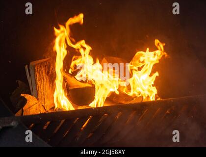 Große, gehackte Holzstämme, die auf offenem Feuer brennen, mit hohen orangen Flammen, die das Holz lecken. Industrieller offener bbq-Grill im Freien. Stockfoto