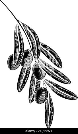 Illustration Olivenzweig Holzschnitt Zeichnung Stock Vektor