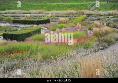 BOTTROP, DEUTSCHLAND - 21. AUGUST 2021: Bepflanzung im mehrjährigen Wiesenstil, entworfen von Piet Oudolf im öffentlichen Park Bern Stockfoto