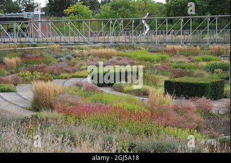 BOTTROP, DEUTSCHLAND - 21. AUGUST 2021: Bepflanzung im mehrjährigen Wiesenstil, entworfen von Piet Oudolf im öffentlichen Park Bern Stockfoto