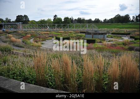 BOTTROP, DEUTSCHLAND - 21. AUGUST 2021: Bepflanzung im mehrjährigen Wiesenstil, entworfen von Piet Oudolf im öffentlichen Park Bern Stockfoto