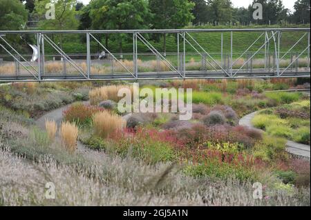 BOTTROP, DEUTSCHLAND - 21. AUGUST 2021: Bepflanzung im mehrjährigen Wiesenstil, entworfen von Piet Oudolf im öffentlichen Park Bern Stockfoto