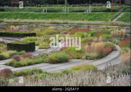 BOTTROP, DEUTSCHLAND - 21. AUGUST 2021: Bepflanzung im mehrjährigen Wiesenstil, entworfen von Piet Oudolf im öffentlichen Park Bern Stockfoto