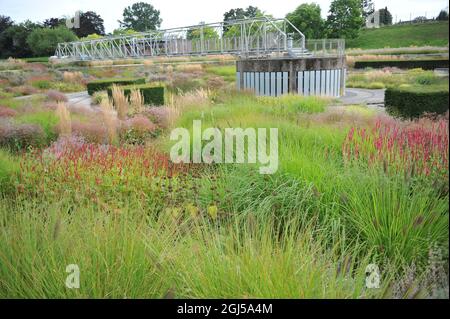 BOTTROP, DEUTSCHLAND - 21. AUGUST 2021: Bepflanzung im mehrjährigen Wiesenstil, entworfen von Piet Oudolf im öffentlichen Park Bern Stockfoto