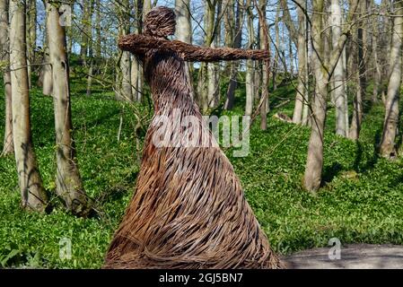 Willow Skulptur der Frau Bogenschütze 'Spirit der mittelalterlichen Jägerin' von Anna und der Willow, Skipton Woods, Skipton, North Yorkshire, England, UK. Stockfoto