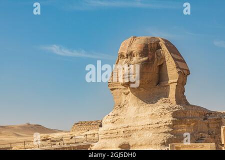 Afrika, Ägypten, Kairo. Giza Plateau. Große Sphinx von Gizeh vor der Großen Pyramide von Gizeh. Stockfoto