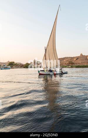 Afrika, Ägypten, Assuan. 8. Oktober 2018. Eine Felucca, ein traditionelles Holzsegelboot, auf dem Nil bei Assuan. (Nur Für Redaktionelle Zwecke) Stockfoto