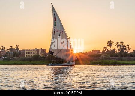 Afrika, Ägypten, Luxor. 12. Oktober 2018. Eine Felucca unter Segel auf dem Nil bei Sonnenuntergang in Luxor. (Nur Für Redaktionelle Zwecke) Stockfoto