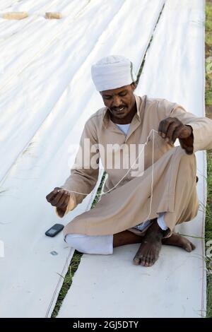 Ein einheimischer Handwerker, der das Tuch zusammengenäht hat, um ein Segel für eine traditionelle Felucca zu machen. Assuan, Ägypten. Stockfoto