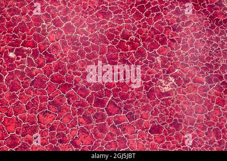 Afrika, Tansania, Luftbild der Muster der roten Algen und Salz Formationen im flachen Salz Wasser des Lake Natron Stockfoto