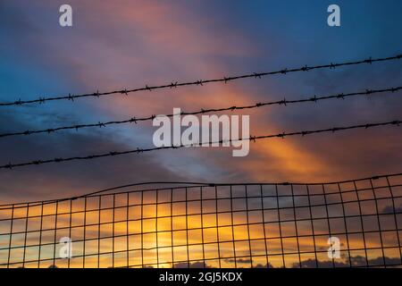 Stacheldraht vor einem dramatischen Sonnenuntergang Stockfoto