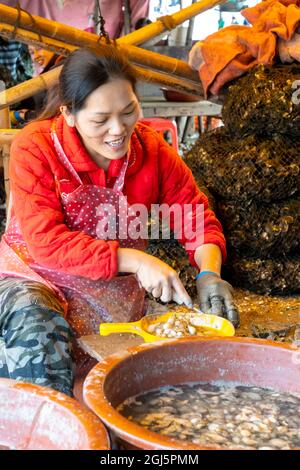 China, Provinz Fujian, Xiapu, Dorf Jiangsha. Eine Frau huckt Austern in dem Dorf, wo dies seine wichtigste Ernte ist. (Nur Für Redaktionelle Zwecke) Stockfoto