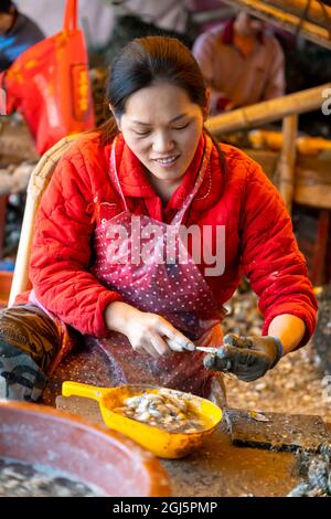 China, Provinz Fujian, Xiapu, Dorf Jiangsha. Eine Frau huckt Austern in dem Dorf, wo dies seine wichtigste Ernte ist. (Nur Für Redaktionelle Zwecke) Stockfoto