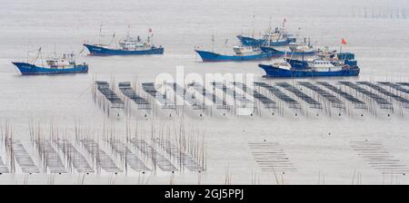 China, Provinz Fujian, Xiapu, Dongbi. Die für den Algenanbau aufgestellte Gestelle der Netze erzeugen in der Bucht viele Muster. Stockfoto