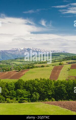 Georgien, Korbouli. Likhi Mountains im Sommer. Stockfoto