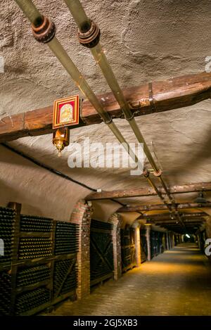 Georgien, Kacheti, Kvareli. Weingut Khareba, 7.7 Kilometer Weintunnel, in denen mehr als 25,000 Flaschen ihres Weines gelagert werden. Stockfoto