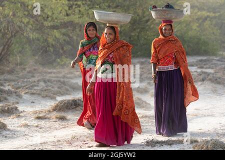 Indien, Gujarat, Great Rann of Kutch, Bhuj, FakiraniJat Tribe. Drei Frauen gehen mit Becken auf dem Kopf und bunten Roben zum Wasser. Stockfoto