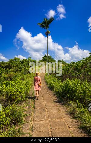 Frau auf dem Campuhan Ridge Walk, Ubud, Bali, Indonesien Stockfoto