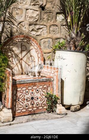 Palästinensische Gebiete, Nablus. Kirche der heiligen Photina (Jakobsbrunnen). Stockfoto