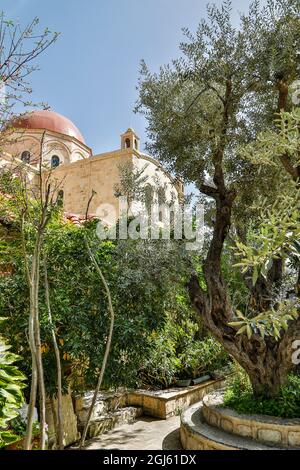 Palästinensische Gebiete, Nablus. Kirche der heiligen Photina (Jakobsbrunnen). Stockfoto