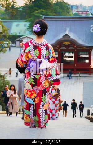 Eine japanische Frau im Kimono, die auf einer Treppe mit Blick auf das Gelände von Tsurugaoka Hachimangu, den schintoistischen Schrein und die Stadt Kamakura mit den Torii steht Stockfoto