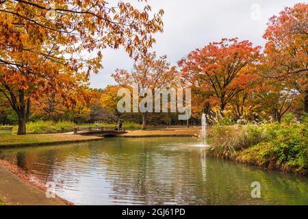 Brücke über das Wasser im malerischen Yoyogi Park, Shibuya, Tokio, Japan Stockfoto