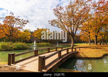 Brücke über das Wasser im malerischen Yoyogi Park, Shibuya, Tokio, Japan Stockfoto
