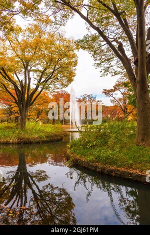 Malerische Herbstfarben und Baumreflexe im Yoyogi Park, Shibuya, Tokio, Japan Stockfoto