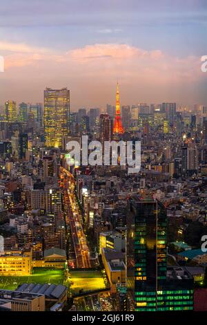 Blick auf den orangefarbenen Tokyo Tower vom Shibuya Scramble Square Observatorium und das Stadtbild von Tokio Stockfoto