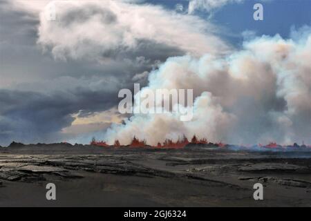 Feuerbrunnen (Lava) bei der Holuhraun-Eruption in Island. Vulkanische Gase bilden dramatische Wolken über den ausbrechenden Schloten. Stockfoto