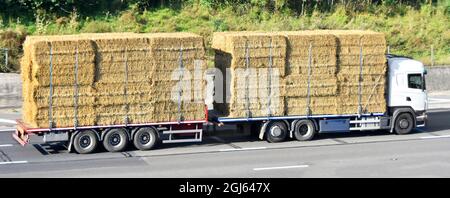 Seitenansicht eines weißen, nicht markierten LKW mit Flachbett und eines Anhängers mit Flachbett, der mit herkömmlichen Strohballen beladen ist, die auf der britischen Autobahn mit Gurten befestigt sind Stockfoto