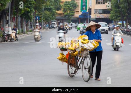 Eine vietnamesische Frau, die auf den Straßen von Hanoi, Vietnam, Bananen von ihrem Fahrrad verkauft. Stockfoto