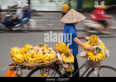 Eine vietnamesische Frau, die auf den Straßen von Hanoi, Vietnam, Bananen von ihrem Fahrrad verkauft. Stockfoto